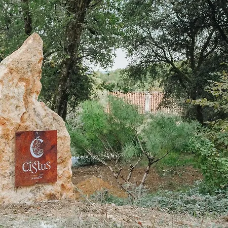 Maison Cistus - De Charme - Et Avec Terrasses Privees - Proche De Sarlat, Au Coeur De La Nature 4* Sarlat-la-Caneda