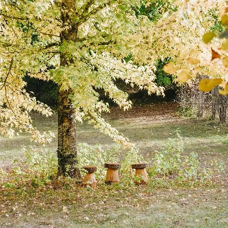 Maison Cistus - De Charme - Et Avec Terrasses Privees - Proche De Sarlat, Au Coeur De La Nature Sarlat-la-Canéda