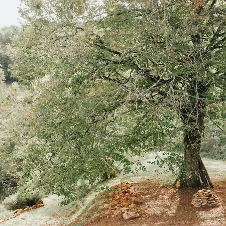 Maison Cistus - De Charme - Et Avec Terrasses Privees - Proche De Sarlat, Au Coeur De La Nature Bed & Breakfast Sarlat-la-Caneda