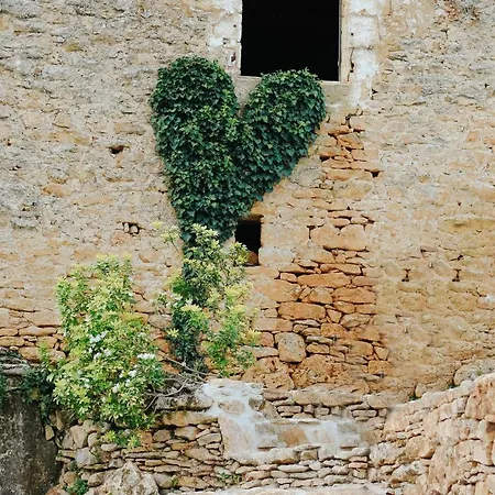 Maison Cistus - De Charme - Et Avec Terrasses Privees - Proche De Sarlat, Au Coeur De La Nature Oda ve Kahvaltı 4*