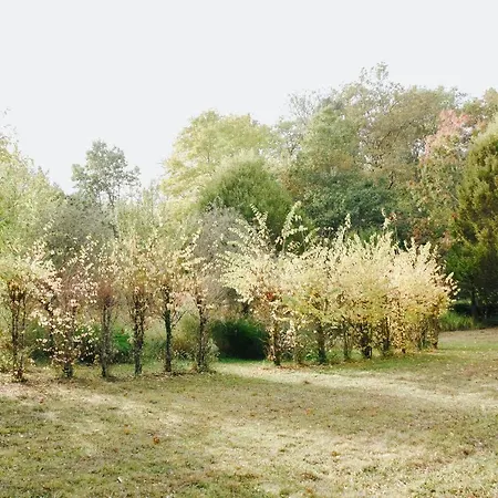 Maison Cistus - De Charme - Et Avec Terrasses Privees - Proche De Sarlat, Au Coeur De La Nature Oda ve Kahvaltı 4*
