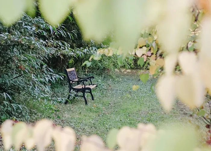 Nocleg ze śniadaniem Maison Cistus - De Charme - Et Avec Terrasses Privees - Proche De Sarlat, Au Coeur De La Nature