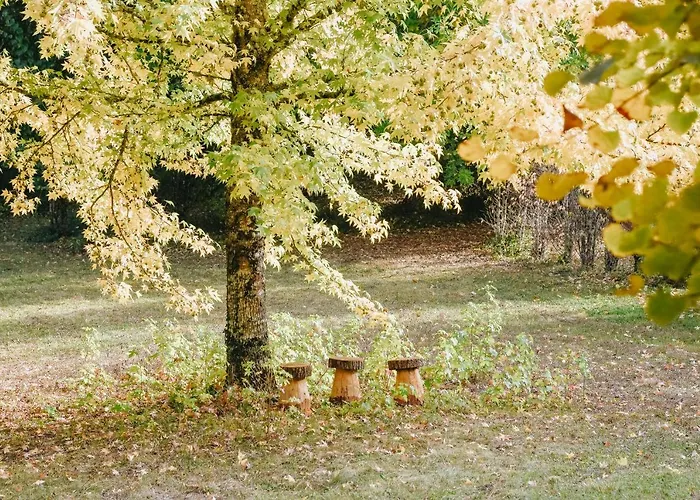 Maison Cistus - De Charme - Et Avec Terrasses Privees - Proche De Sarlat, Au Coeur De La Nature Sarlat-la-Canéda