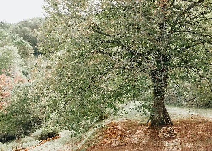Maison Cistus - De Charme - Et Avec Terrasses Privees - Proche De Sarlat, Au Coeur De La Nature Bed & Breakfast Sarlat-la-Caneda