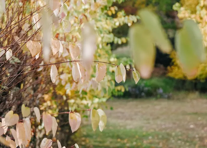 Nocleg ze śniadaniem Maison Cistus - De Charme - Et Avec Terrasses Privees - Proche De Sarlat, Au Coeur De La Nature Sarlat-la-Canéda