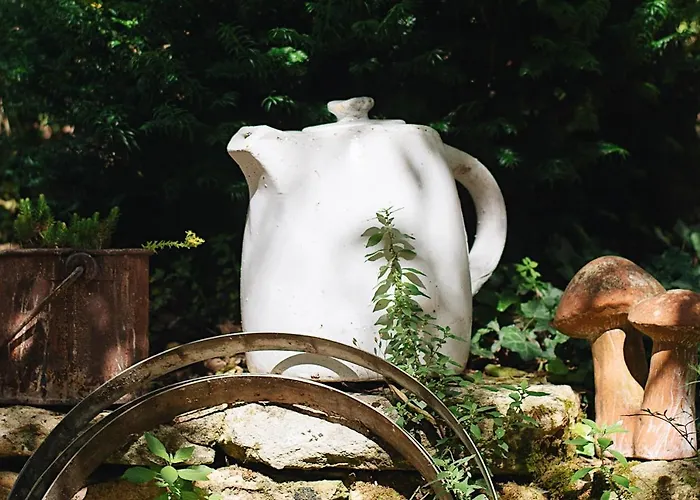 Maison Cistus - De Charme - Et Avec Terrasses Privees - Proche De Sarlat, Au Coeur De La Nature Nocleg ze śniadaniem Sarlat-la-Canéda