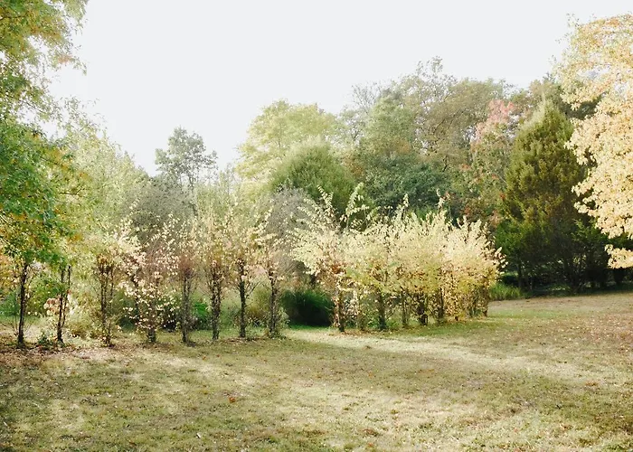 Maison Cistus - De Charme - Et Avec Terrasses Privees - Proche De Sarlat, Au Coeur De La Nature Nocleg ze śniadaniem 4*