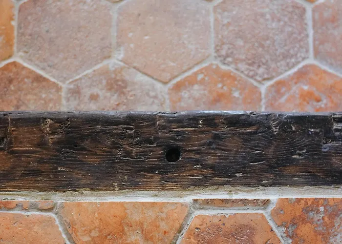 Nocleg ze śniadaniem Maison Cistus - De Charme - Et Avec Terrasses Privees - Proche De Sarlat, Au Coeur De La Nature 4*